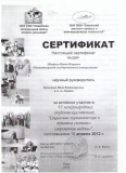Швефель И.И.